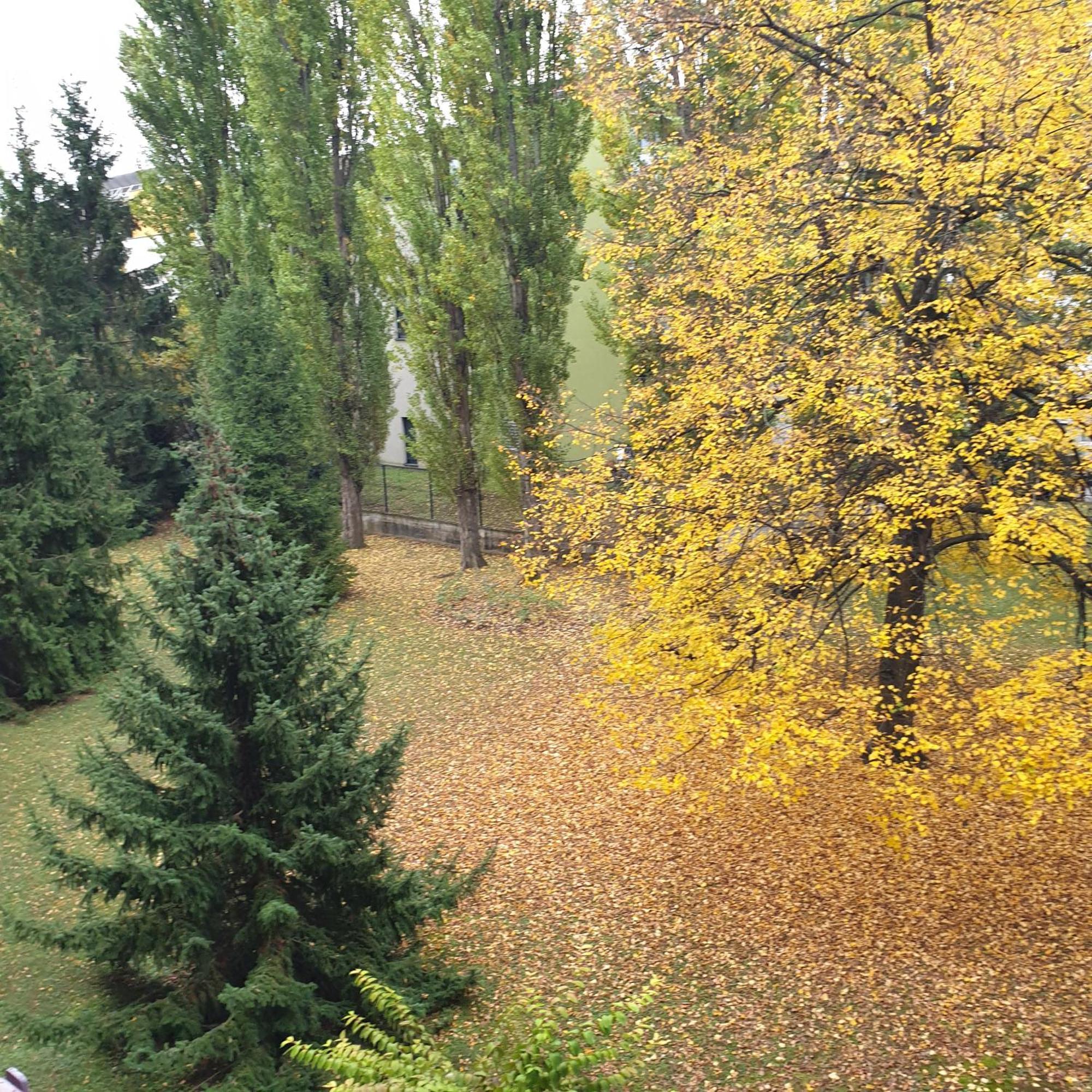 Apartament Cote Parc Schiltigheim Zewnętrze zdjęcie
